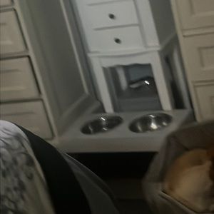 Reserved for customer used dog bowls